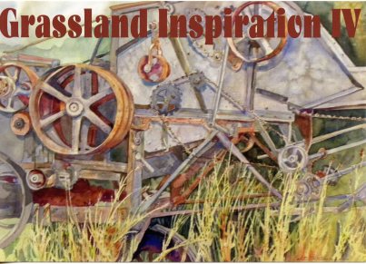 Grassland IV postcard039